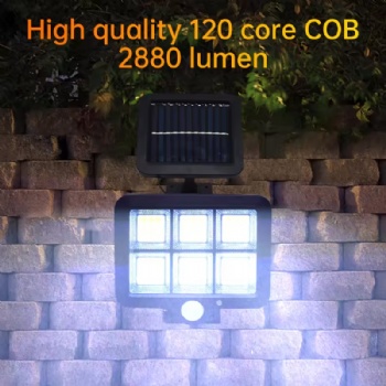 Outdoor Solar Powered Garden Lamp SL009